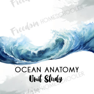 OCEAN ANATOMY