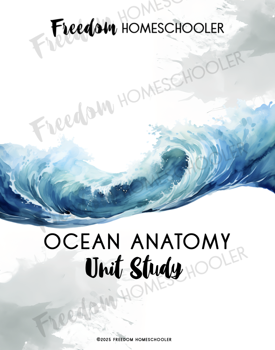 OCEAN ANATOMY